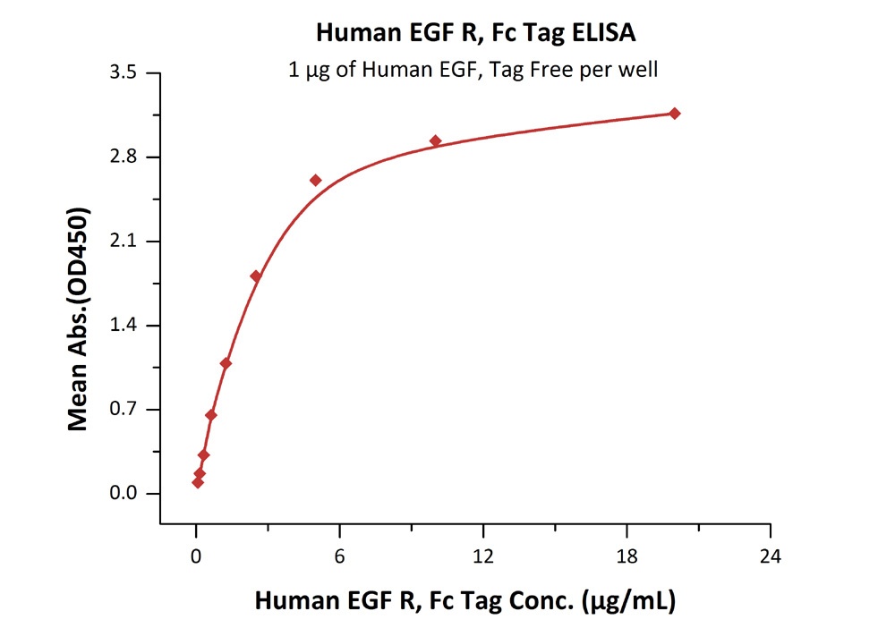 EGF R Recombinant Protein