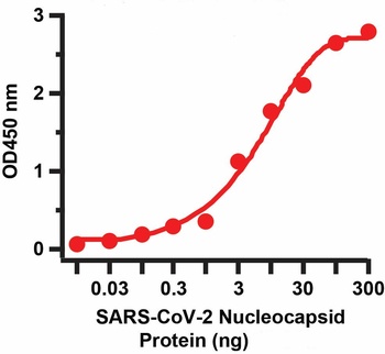 SARS-CoV-2 (COVID-19) Nucleocapsid Antibody