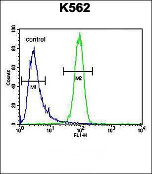 MCHR1 antibody