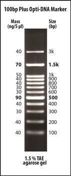 100bp Plus Opti-DNA Marker