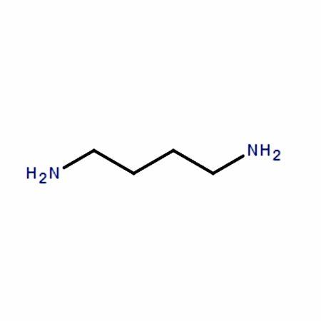 1,4-Diaminobutane