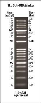 1kb Opti-DNA Marker