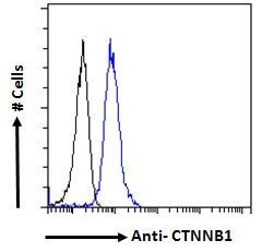 CTNNB1 antibody