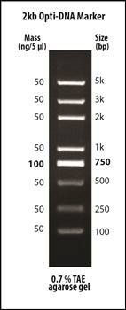 2kb Opti-DNA Marker