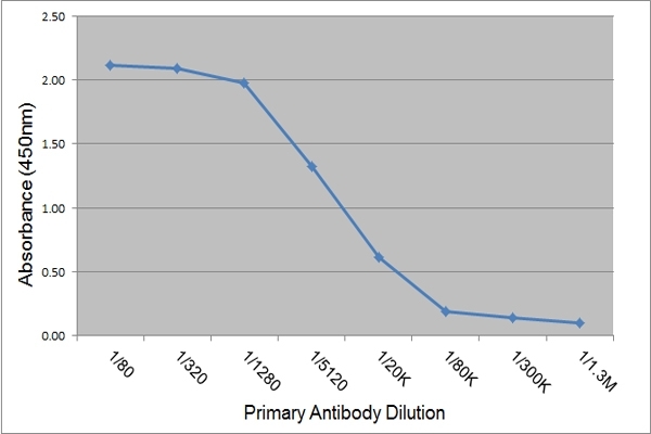 IgE antibody