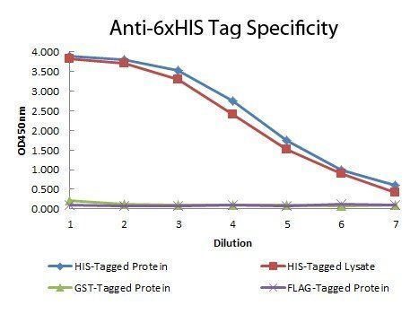 6X His Tag antibody (ATTO 550)