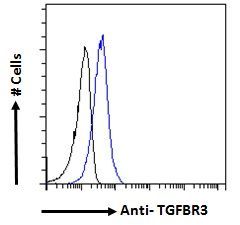 TGFBR3 antibody