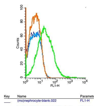 SLC20A2 Polyclonal Antibody