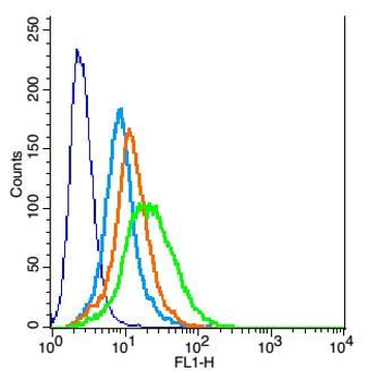 PMCA2 Polyclonal Antibody
