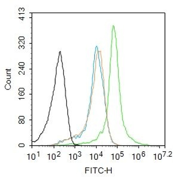 C6orf115 Polyclonal Antibody