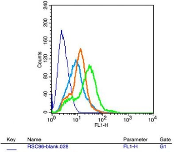 KCNQ2 Polyclonal Antibody