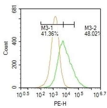 LRFN4 Polyclonal Antibody