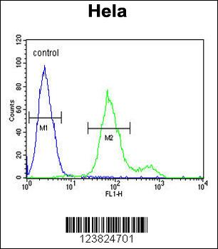 SUMF1 Antibody (C-Term)