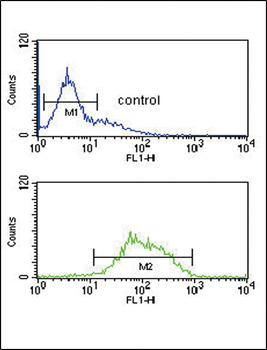 LCAT Antibody (Center)