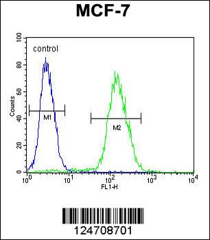 ABHDB Antibody (Center)