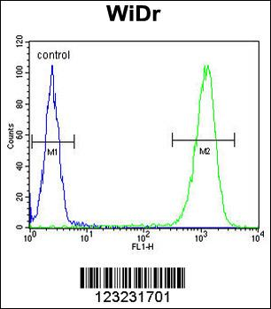 TSPAN33 Antibody (C-term)