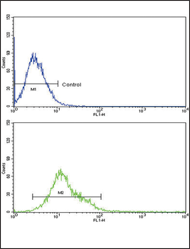 CYP8B1 Antibody (C-term)