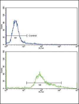 GMPS Antibody (Center)