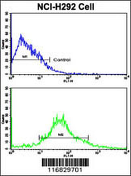ALDH3A1 Antibody (N-term)