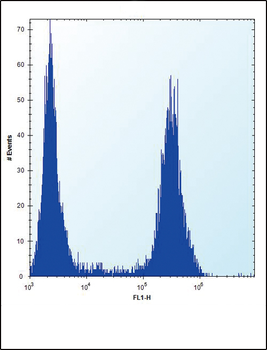 FGFR2 Antibody