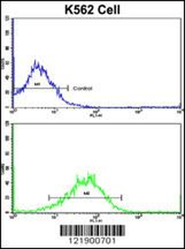 SFRP5 Antibody (Center)