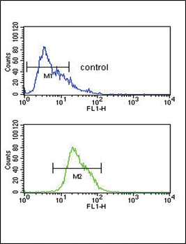 ADH1C Antibody (Center)