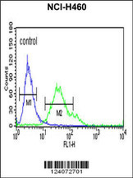 FCGR1A Antibody (Center)