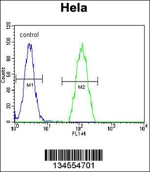 PSMB8 Antibody (N-term)