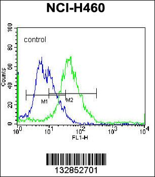 PELI3 Antibody (N-term)