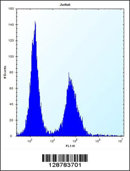 DNAJC9 Antibody (N-term)