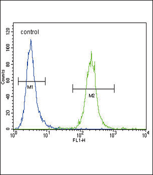 IREB2 Antibody (Center)