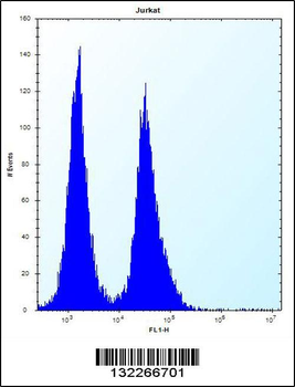 SNIP1 Antibody (N-term)