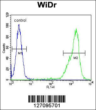 ZN180 Antibody (N-term)