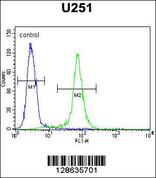 CCDC9 Antibody (N-term)