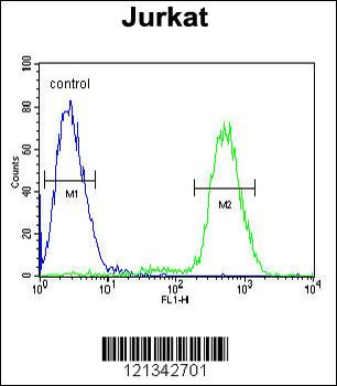 PPP1R3A Antibody (Center)