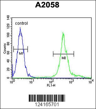 MRPS24 Antibody (Center)