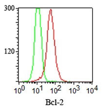 Bcl-2 (Apoptosis & Follicular Lymphoma Marker) Antibody - With BSA and Azide