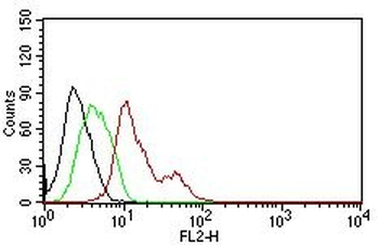 CD63 (Late Endosomes Marker)Mouse Monoclonal Antibody [Clone MX-49.129.5]