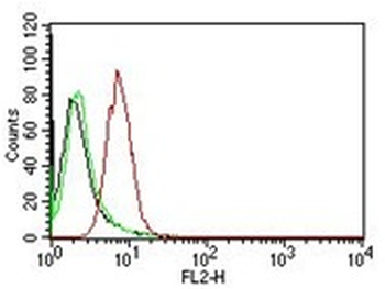 Cyclin D1 (G1-Cyclin & Mantle Cell Marker)Mouse Monoclonal Antibody [Clone CCND1/809]