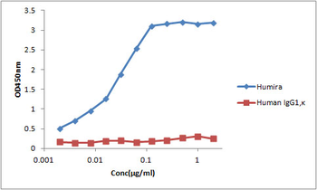 Anti-Humira monoclonal antibody (4H3C7)
