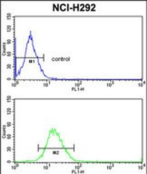PDIA3 Antibody (C-term)
