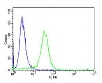 PCSK9 Antibody (N-term)