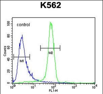 EGFR-S1026 Antibody (C-term)