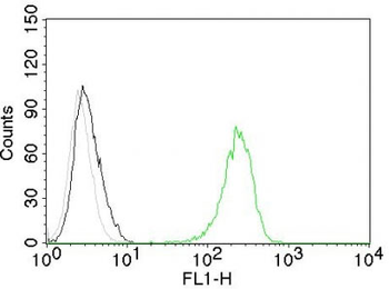 CD71 / Transferrin Receptor (TFRC) Antibody - With BSA and Azide