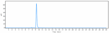 Anti-TMEFF2 Reference Antibody