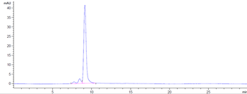 Anti-PRAME Reference Antibody