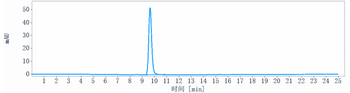 Anti-CTLA-8 / IL-17a Reference Antibody