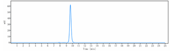 Anti-CEACAM5 / CEA / CD66e Reference Antibody (labetuzumab govitecan)