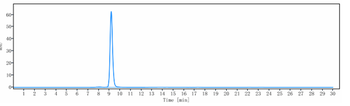 Anti-DPP4 / CD26 Reference Antibody (begelomab)
