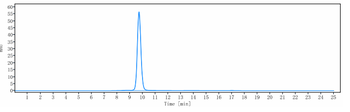 Anti-IL-23 Reference Antibody (brazikumab)